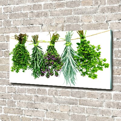 Tableau en verre Herbes sur une ficelle