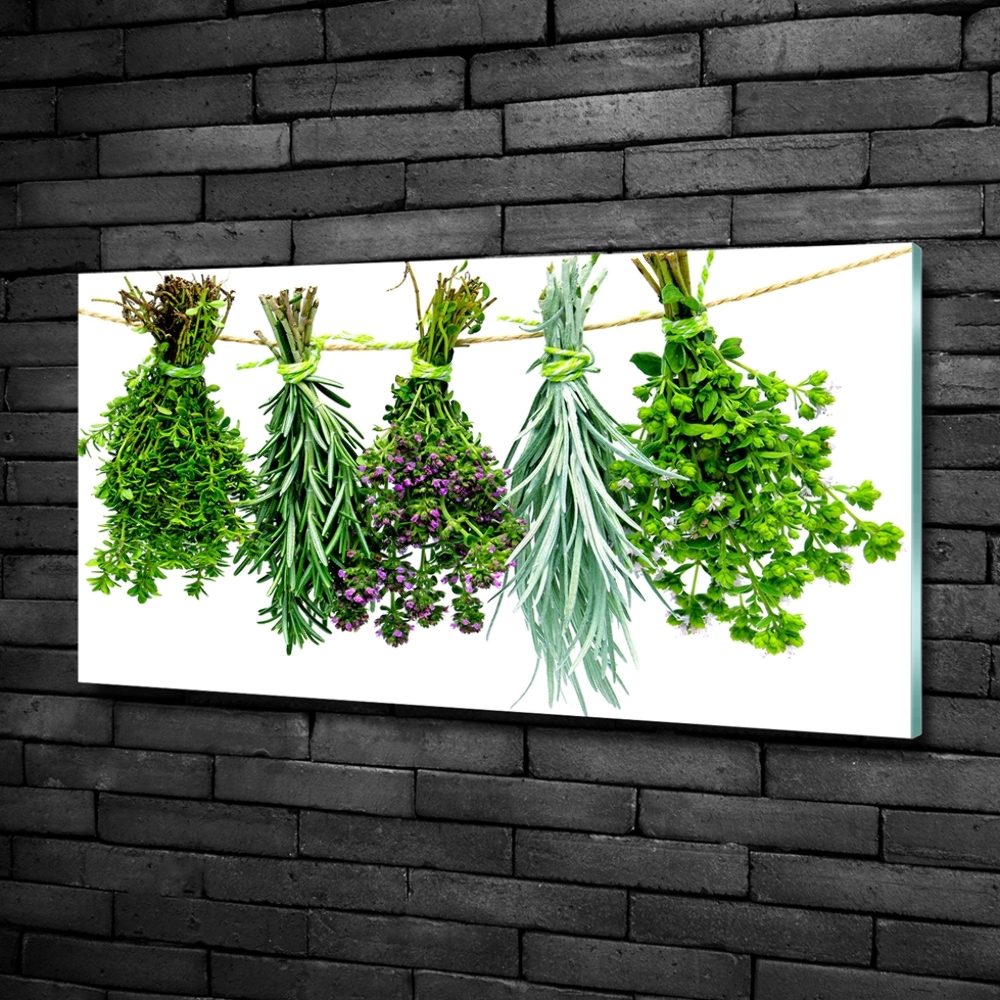 Tableau en verre Herbes sur une ficelle