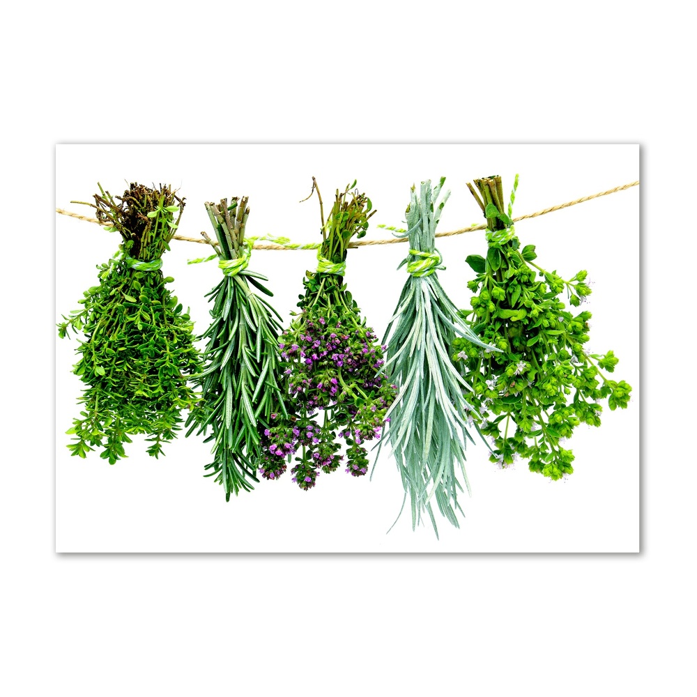 Tableau en verre Herbes sur une ficelle