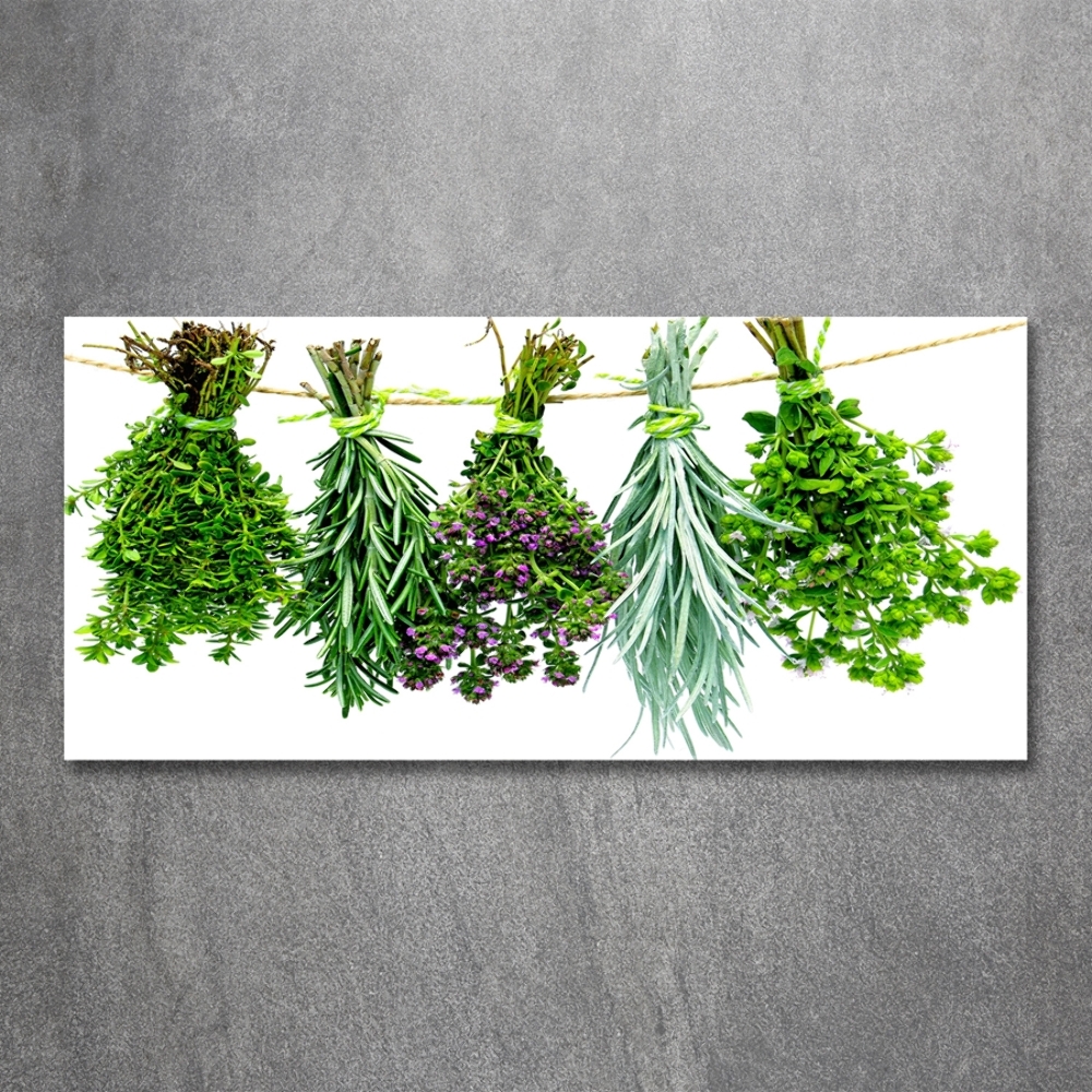 Tableau en verre Herbes sur une ficelle