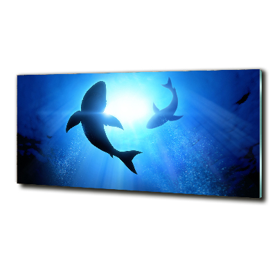 Tableau en verre Deux requins