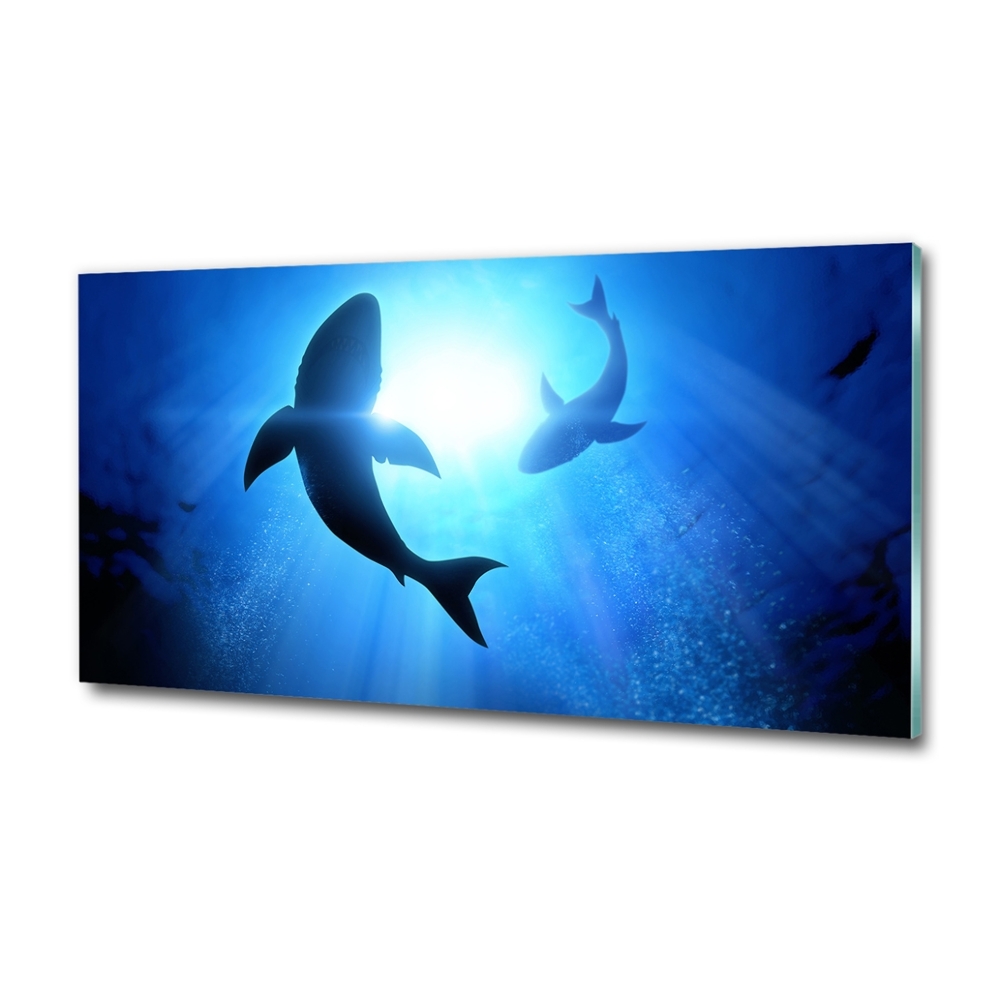 Tableau en verre Deux requins