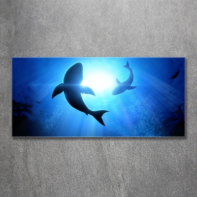 Tableau en verre Deux requins