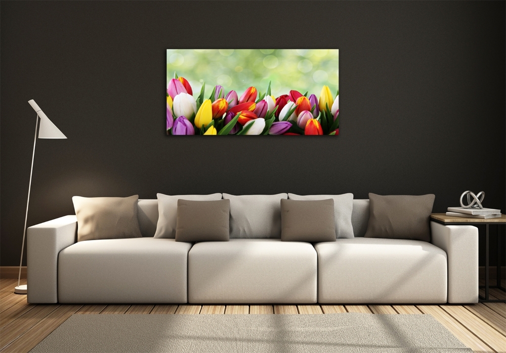 Tableau photo sur verre Tulipes colorées