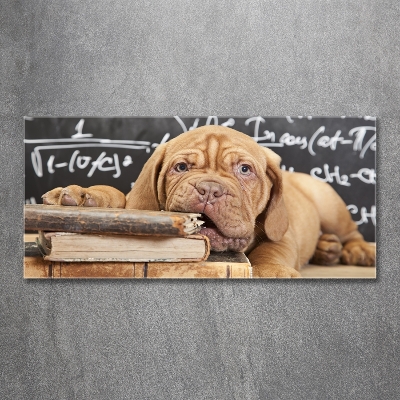 Tableau en verre Livre sur les morsures de chien