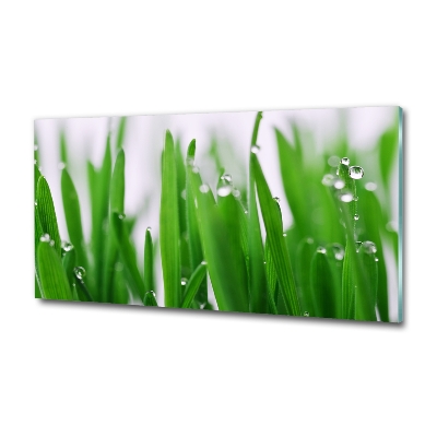 Tableau photo sur verre Tiges d'herbe