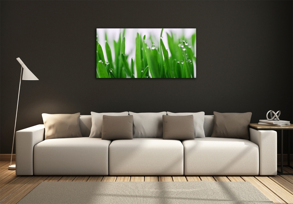 Tableau photo sur verre Tiges d'herbe