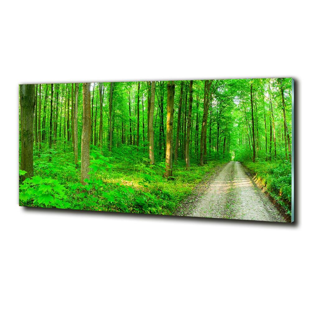 Tableau photo sur verre Arbres dans la forêt