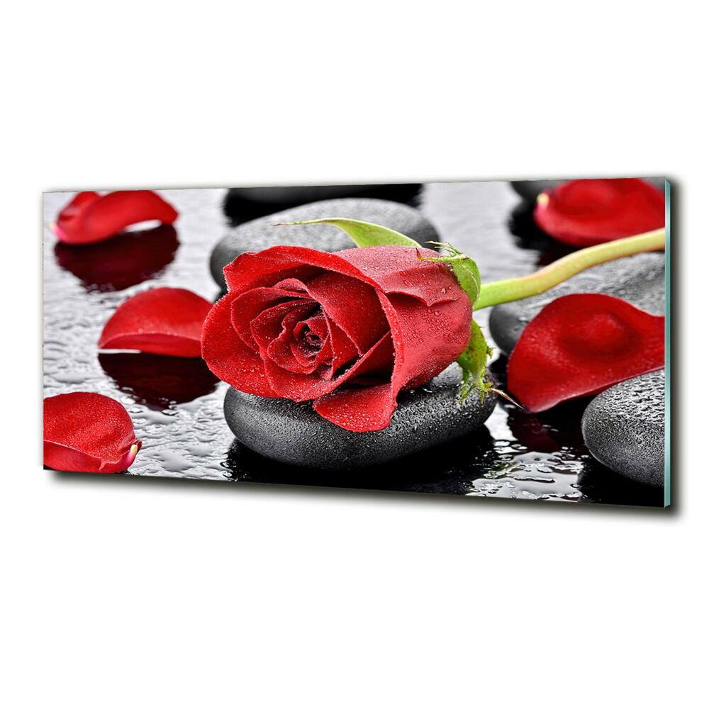 Tableau sur verre Rose rouge