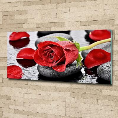 Tableau sur verre Rose rouge