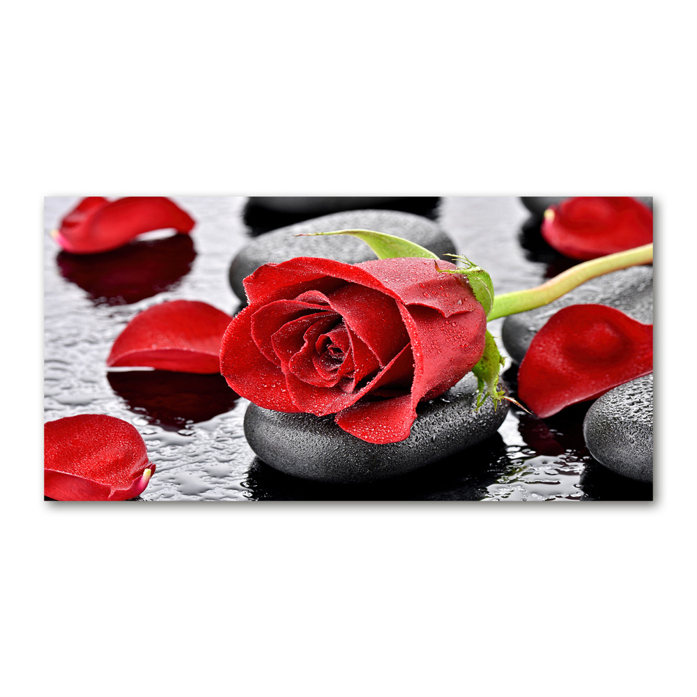 Tableau sur verre Rose rouge