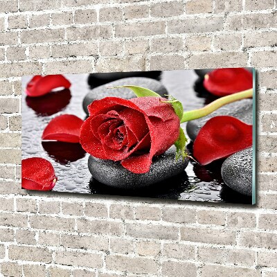 Tableau sur verre Rose rouge