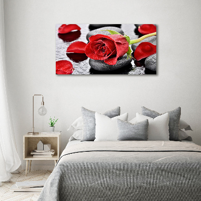 Tableau sur verre Rose rouge