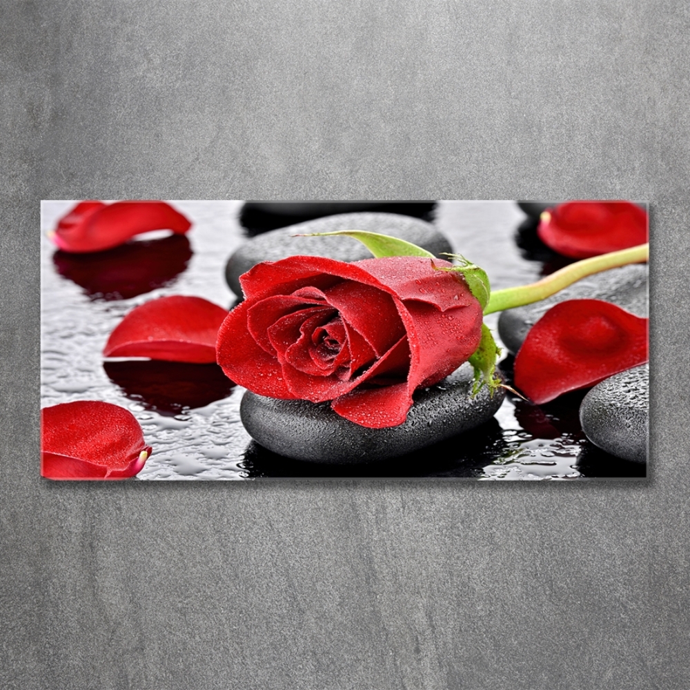 Tableau sur verre Rose rouge