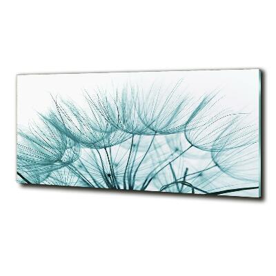 Tableau photo sur verre Graine de bouffi