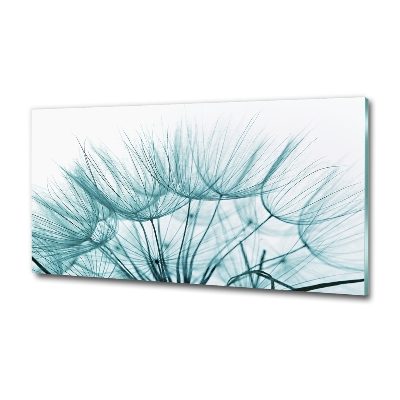 Tableau photo sur verre Graine de bouffi