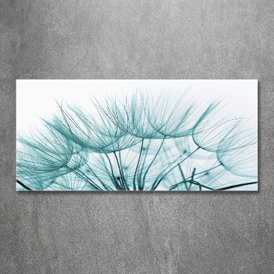 Tableau photo sur verre Graine de bouffi