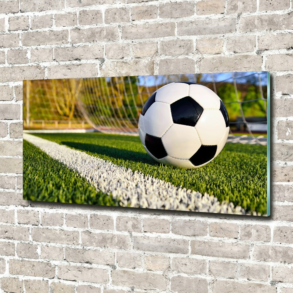 Tableau sur verre Le ballon dans les grilles