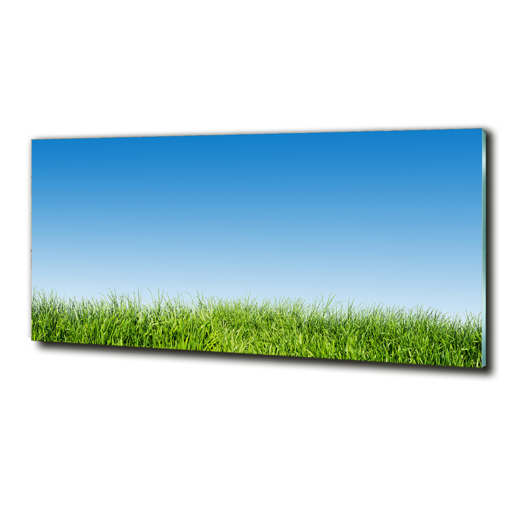 Tableau sur verre Herbe