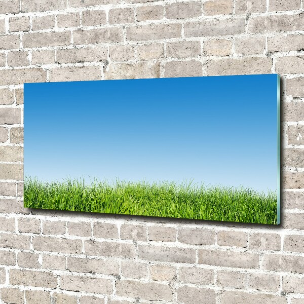 Tableau sur verre Herbe