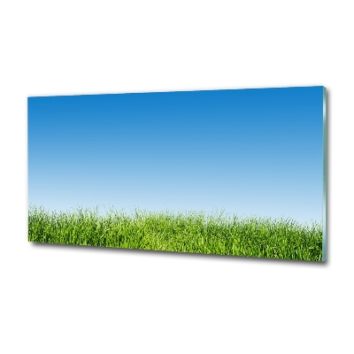 Tableau sur verre Herbe