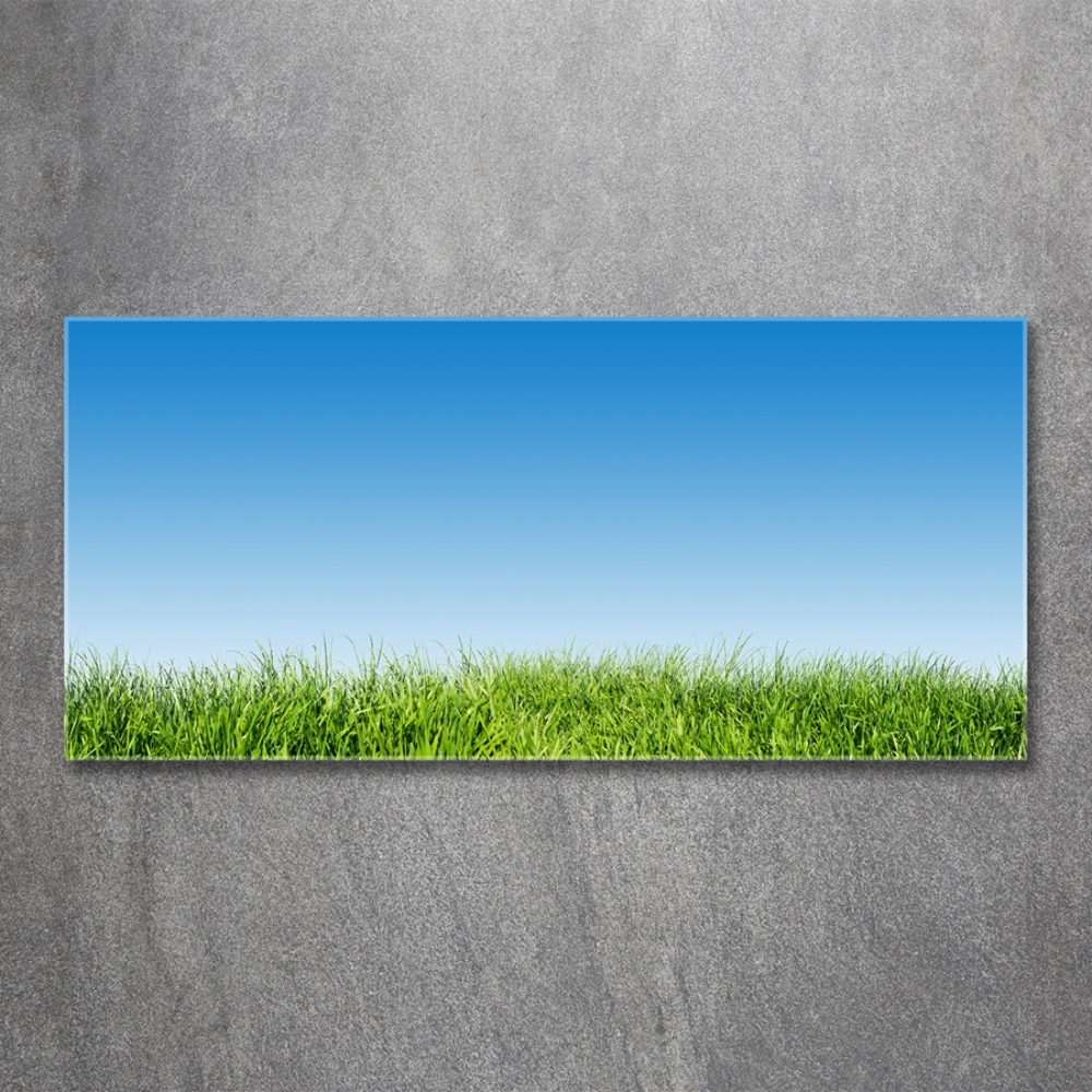 Tableau sur verre Herbe