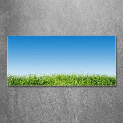 Tableau sur verre Herbe