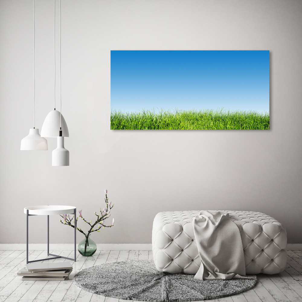 Tableau sur verre Herbe