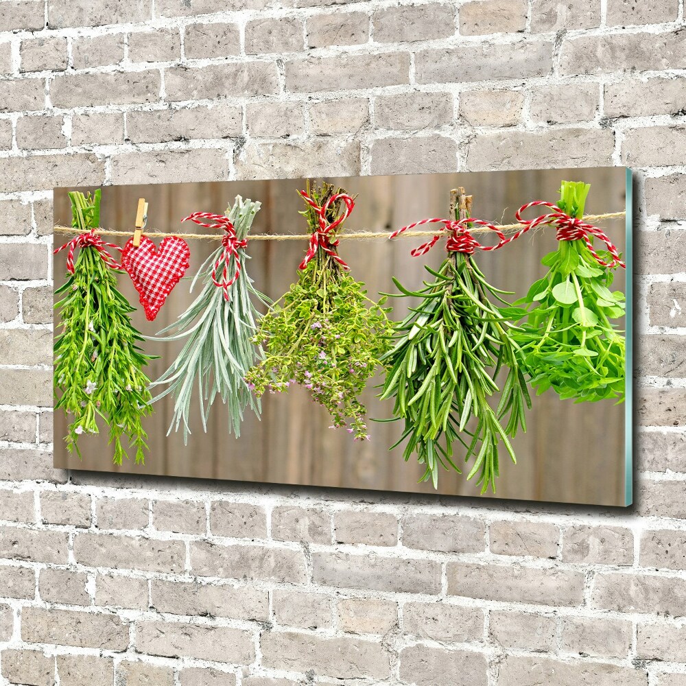 Tableau imprimé sur verre Herbes sur une ficelle