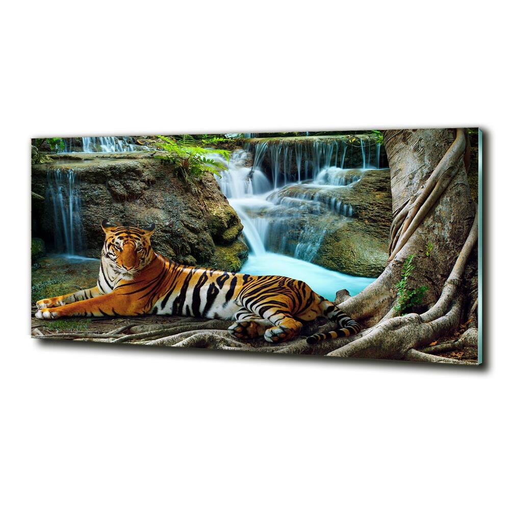 Tableau photo sur verre Tigre dans une cascade