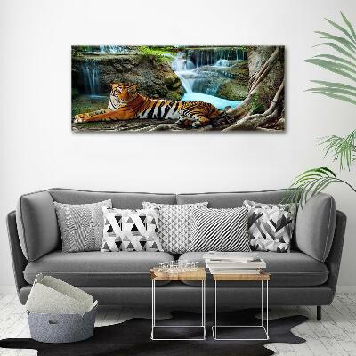 Tableau photo sur verre Tigre dans une cascade