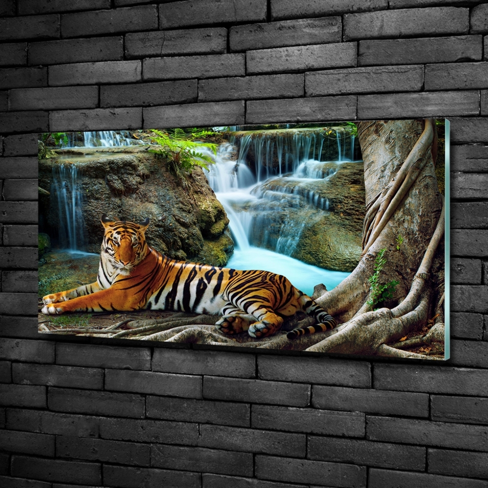 Tableau photo sur verre Tigre dans une cascade