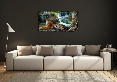 Tableau photo sur verre Tigre dans une cascade