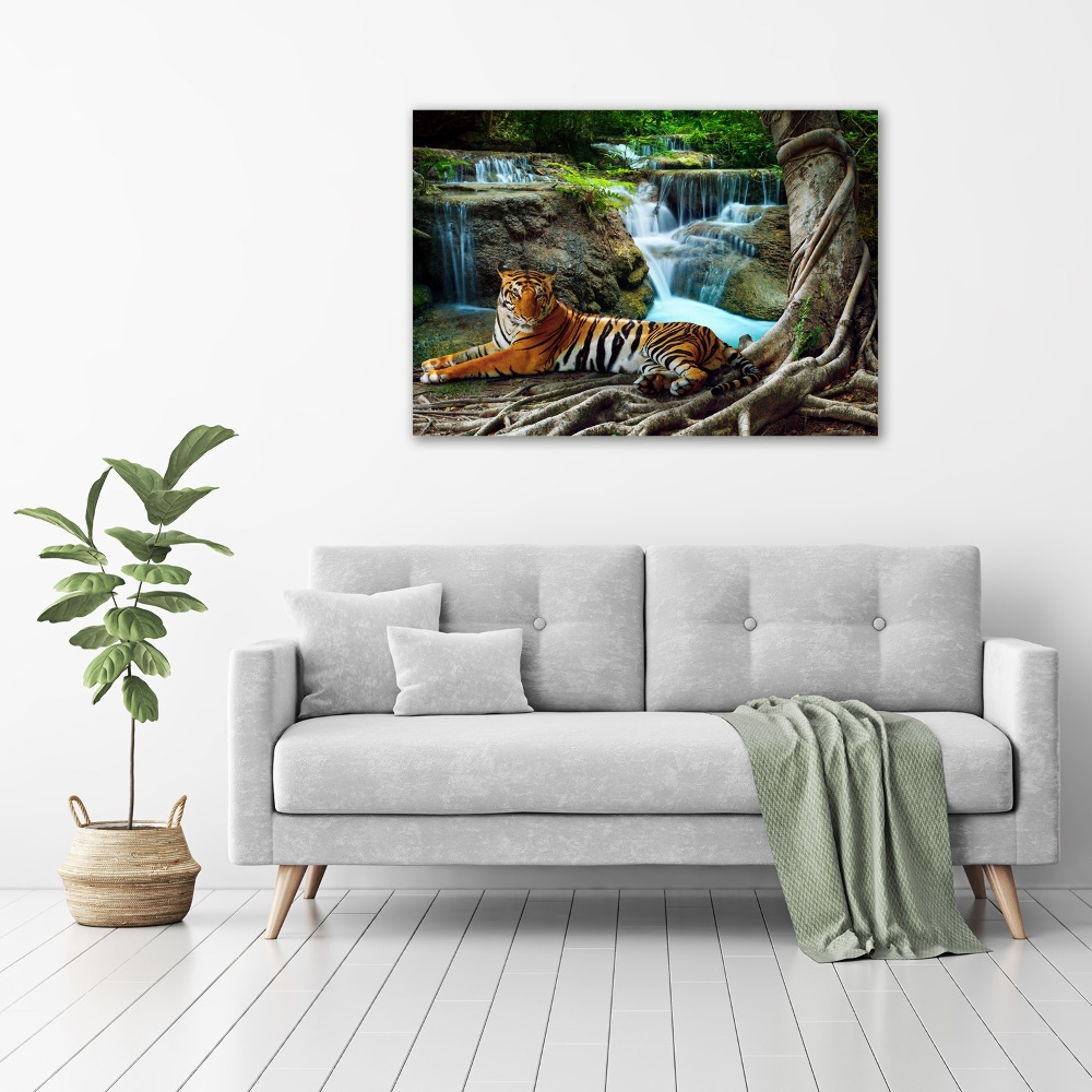 Tableau photo sur verre Tigre dans une cascade