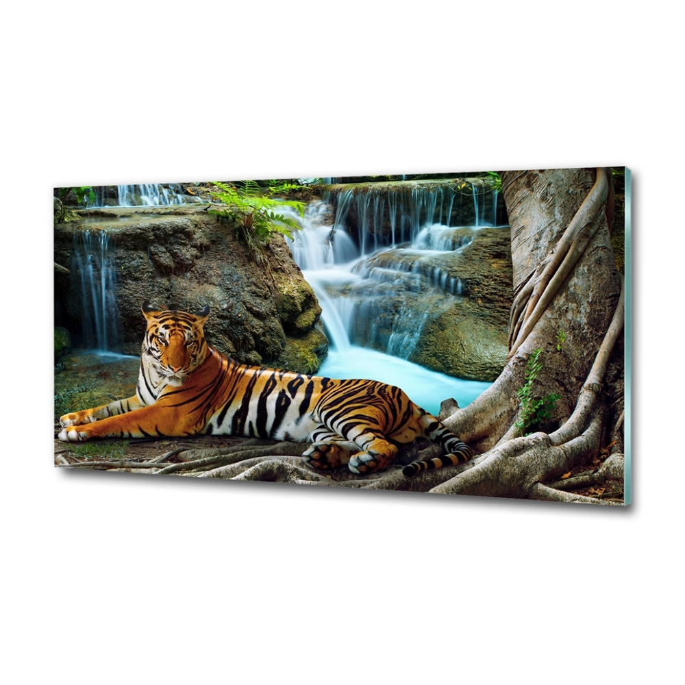 Tableau photo sur verre Tigre dans une cascade