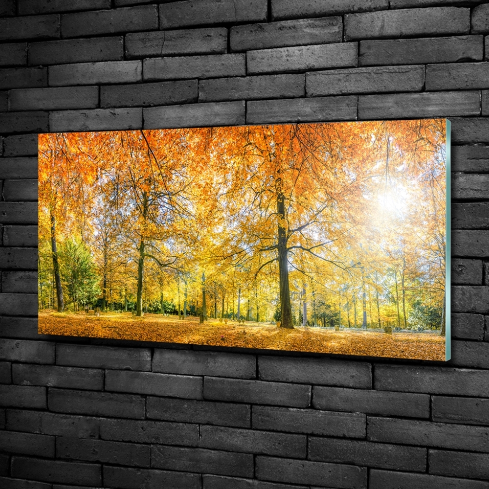 Tableau imprimé sur verre Forêt d'automne