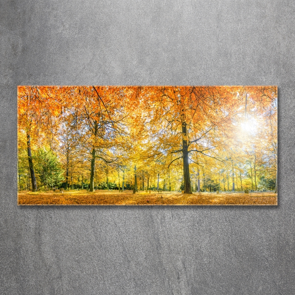 Tableau imprimé sur verre Forêt d'automne