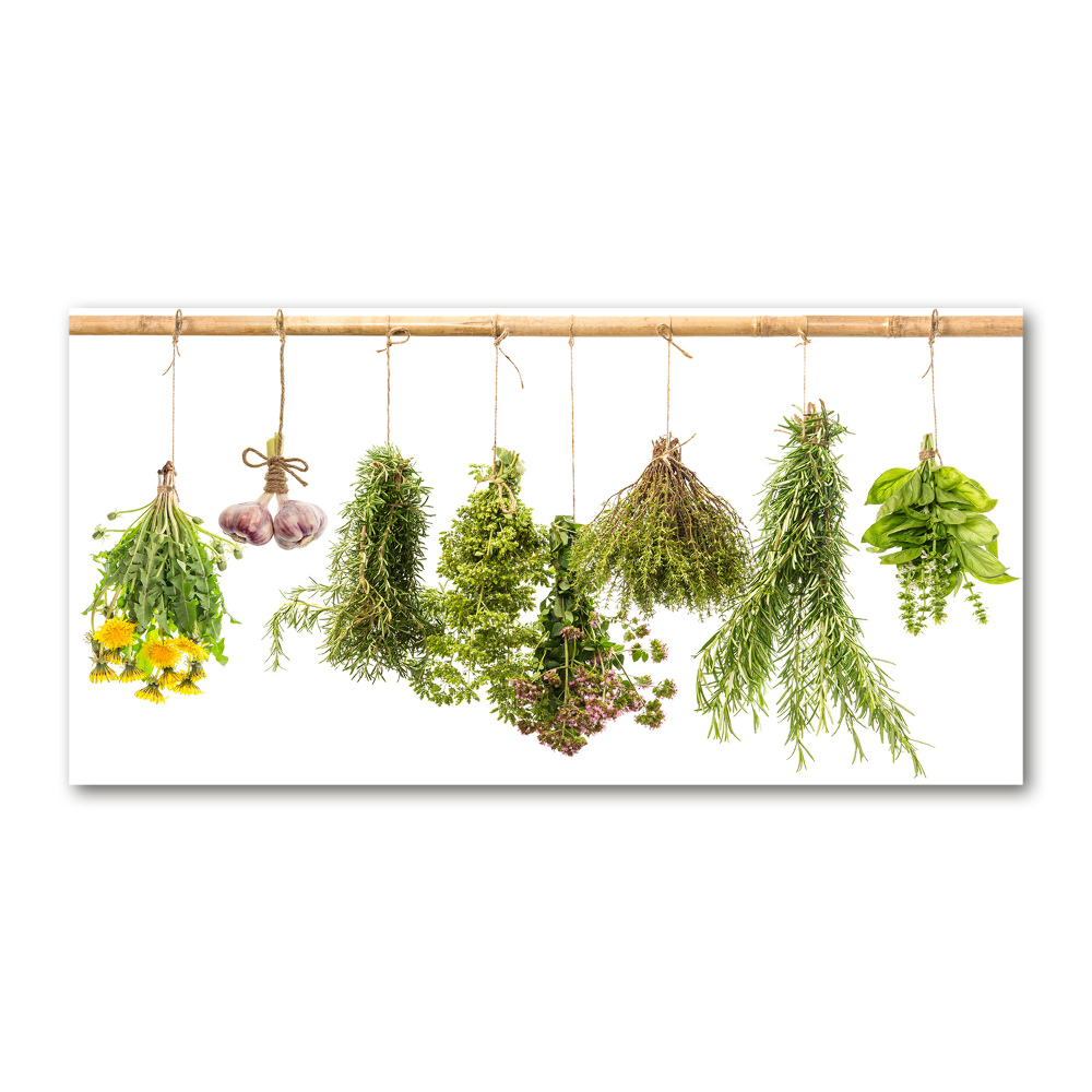 Tableau sur verre Herbes sur une ficelle