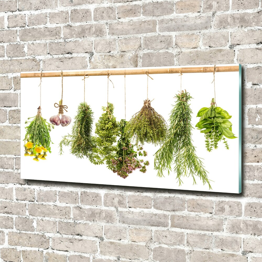 Tableau sur verre Herbes sur une ficelle