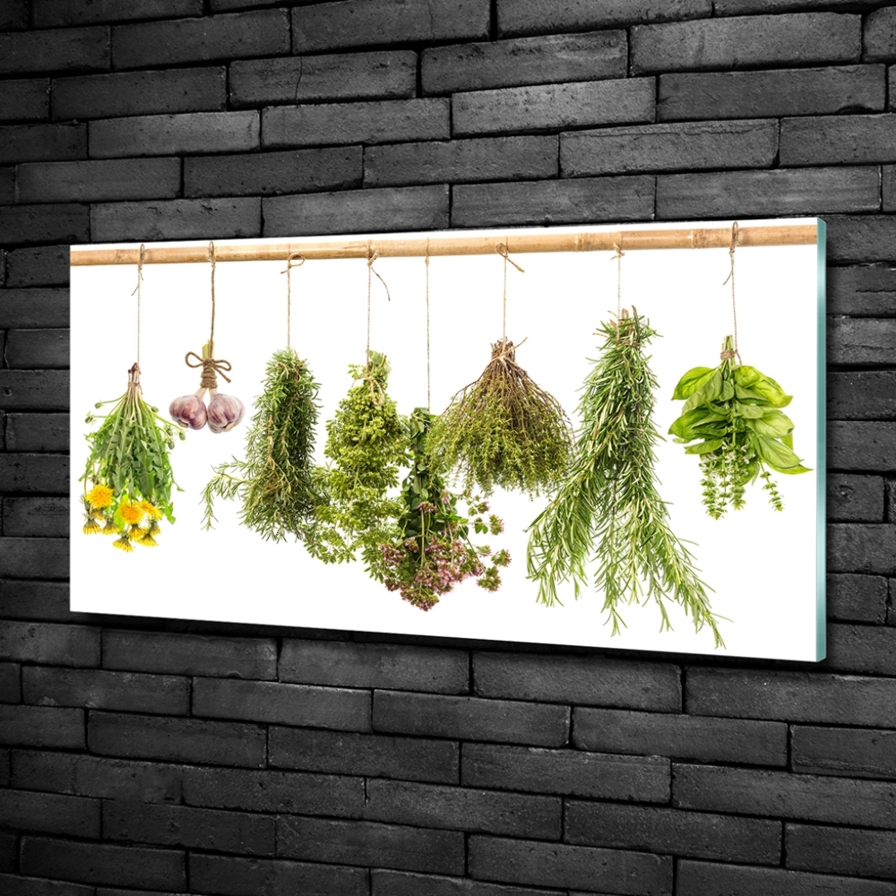 Tableau sur verre Herbes sur une ficelle