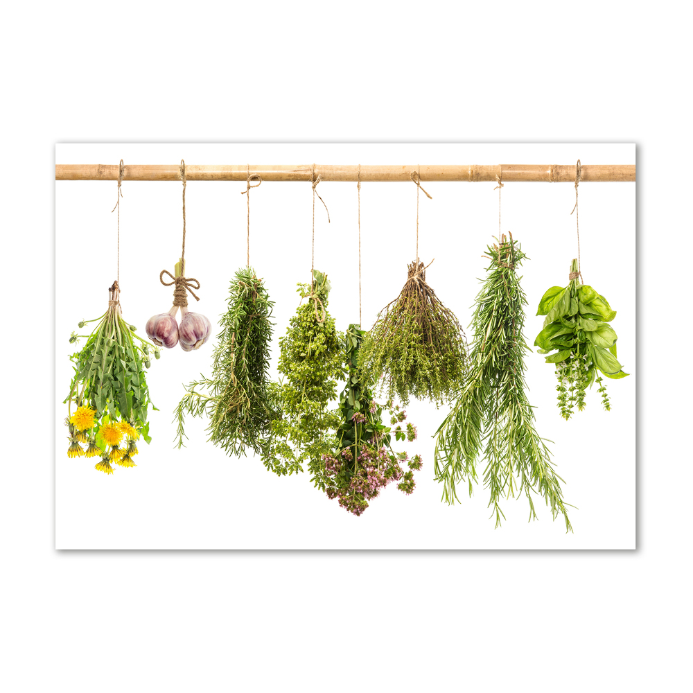 Tableau sur verre Herbes sur une ficelle