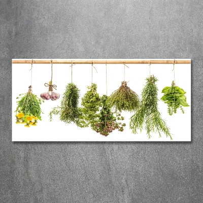 Tableau sur verre Herbes sur une ficelle