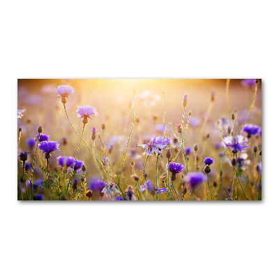 Tableau sur verre Fleurs des champs