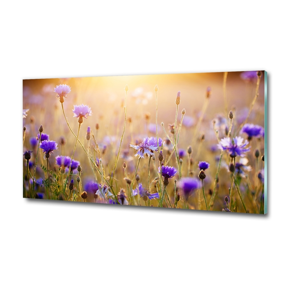 Tableau sur verre Fleurs des champs