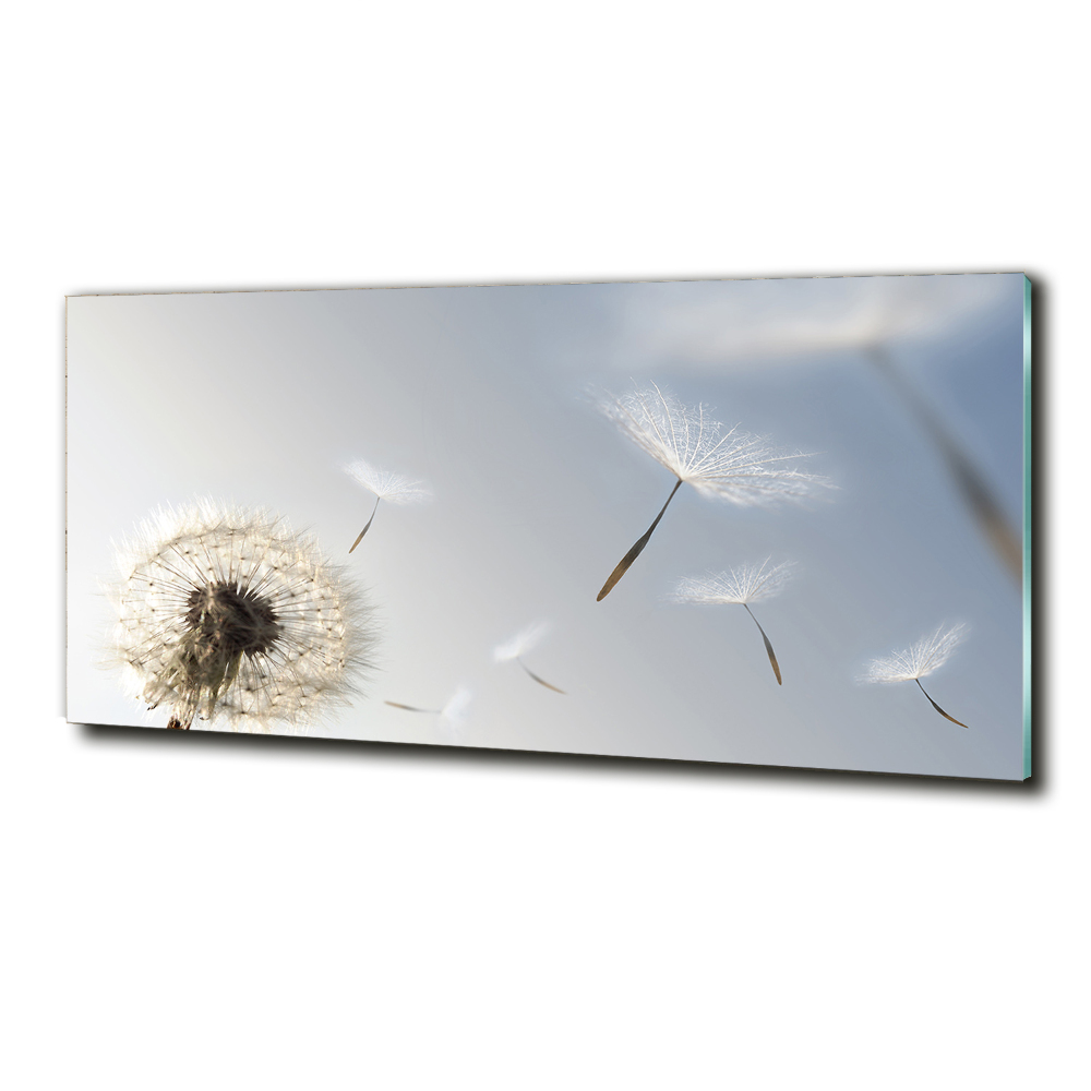 Tableau sur verre Pissenlit vent