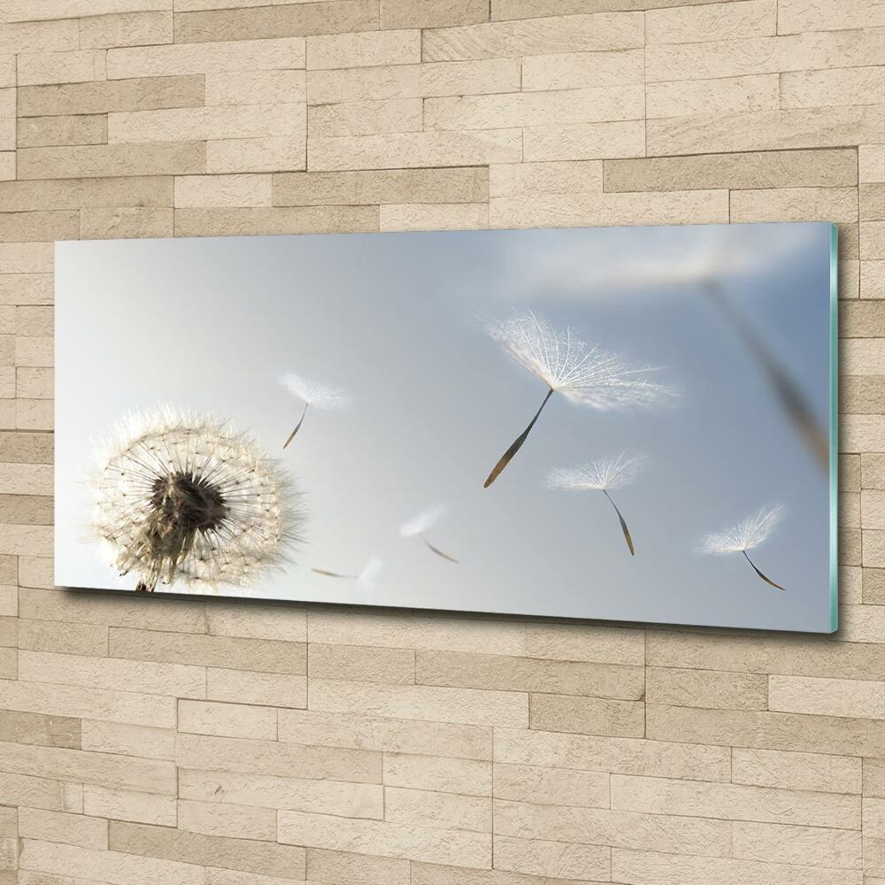 Tableau sur verre Pissenlit vent