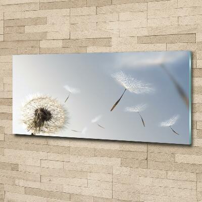 Tableau sur verre Pissenlit vent