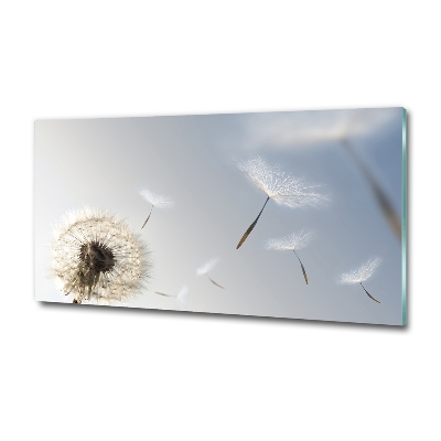 Tableau sur verre Pissenlit vent