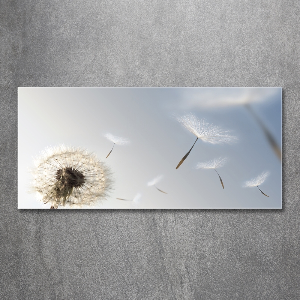 Tableau sur verre Pissenlit vent