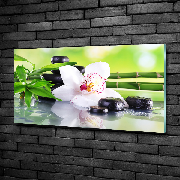 Tableau imprimé sur verre Orchidée